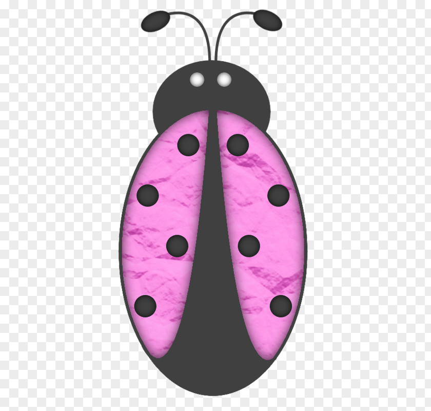 Purple Beetle Ladybird PNG