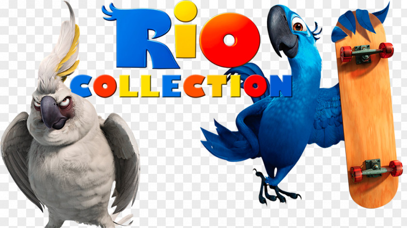 Rio Movie Blu De Janeiro Character Model Sheet PNG