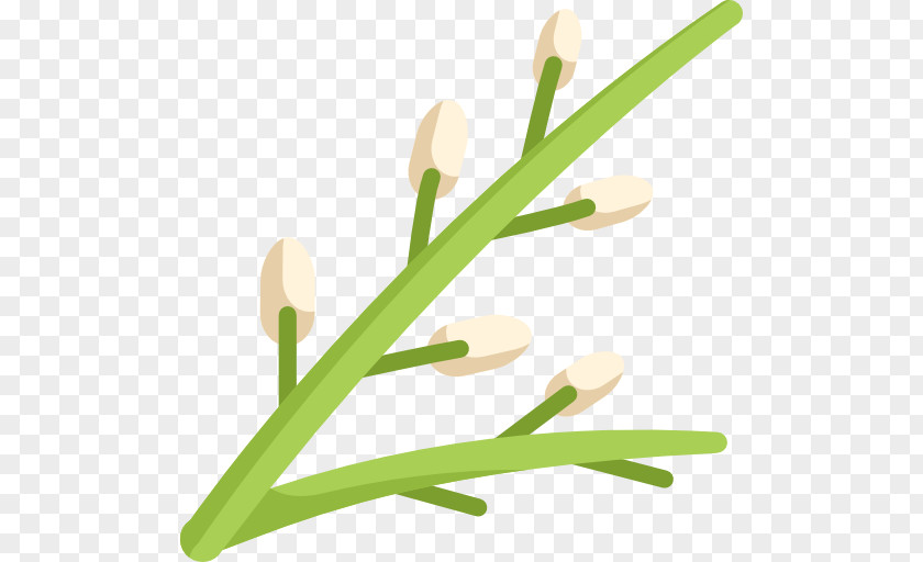Willow Leaf PNG