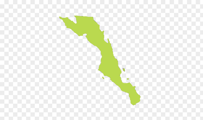 Cádiza Estado De Baja California Sur State Norte PNG