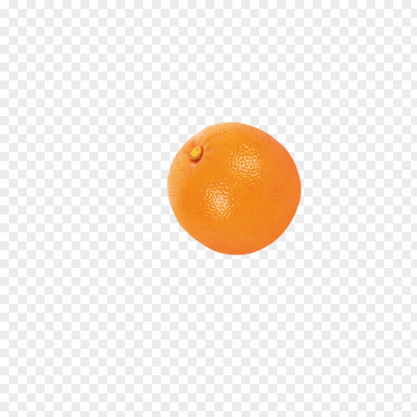 Orange Pattern Clementine PNG