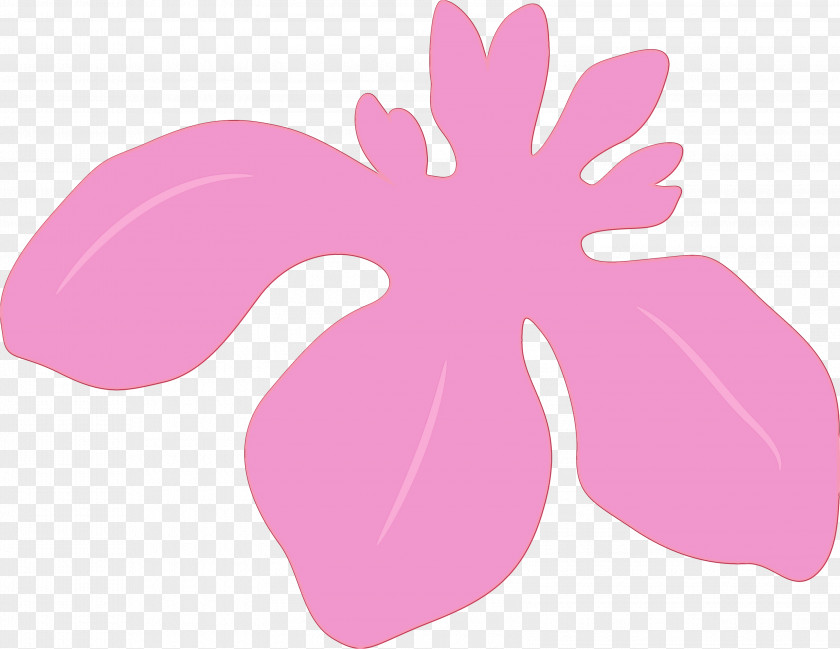 Pink Violet Leaf Material Property Plant PNG