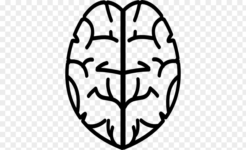 Sports Equipment Human Brain Clip Art PNG