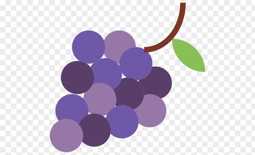 Grape Common Vine PNG