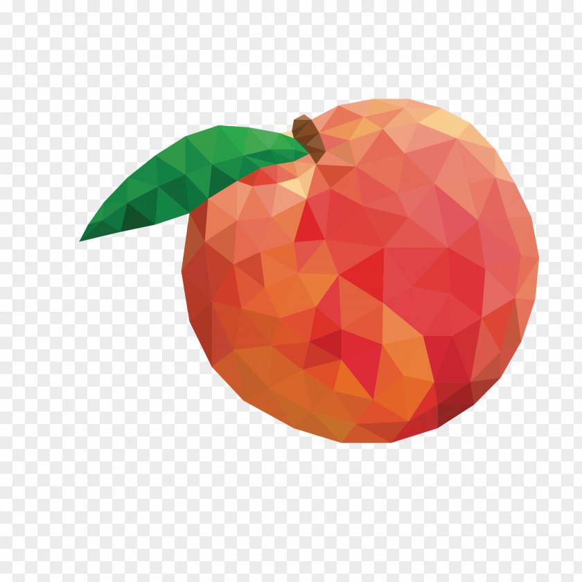 Red Apple Geometric Decoration Geometry Auglis PNG