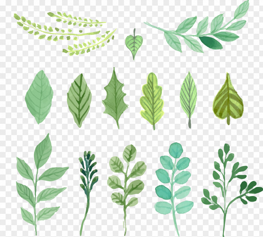 Watercolor Green Leaves Vector Material Painting Leaf PNG