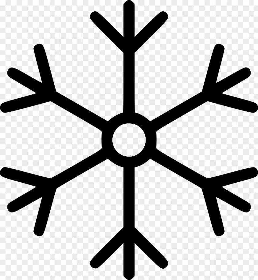 Wy Ribbon Snowflake Illustration PNG