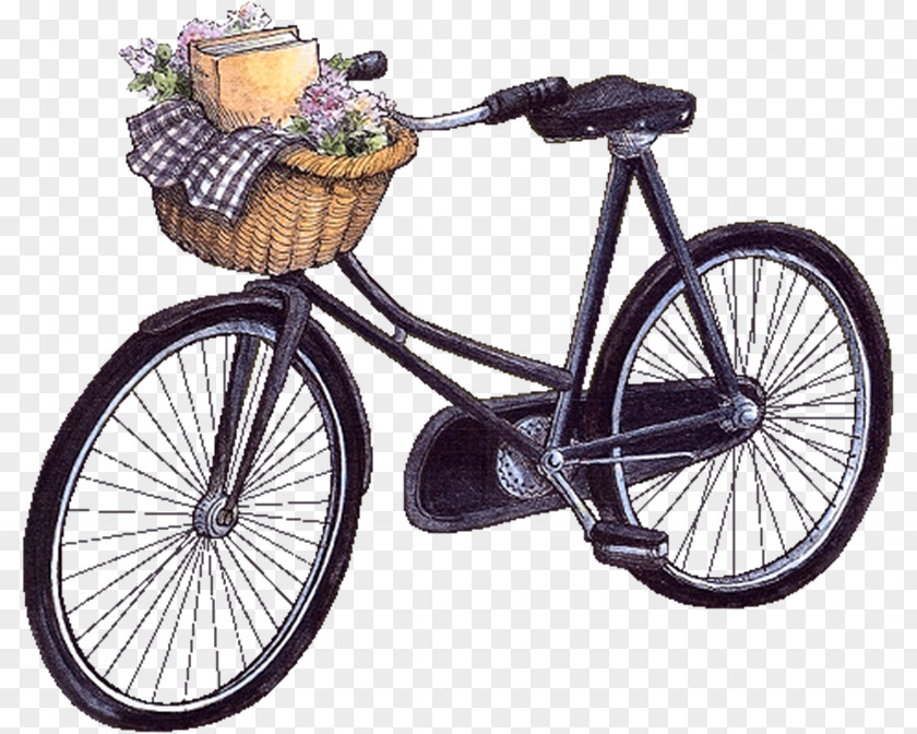 Bicycle GIF Cycling Image Woman PNG