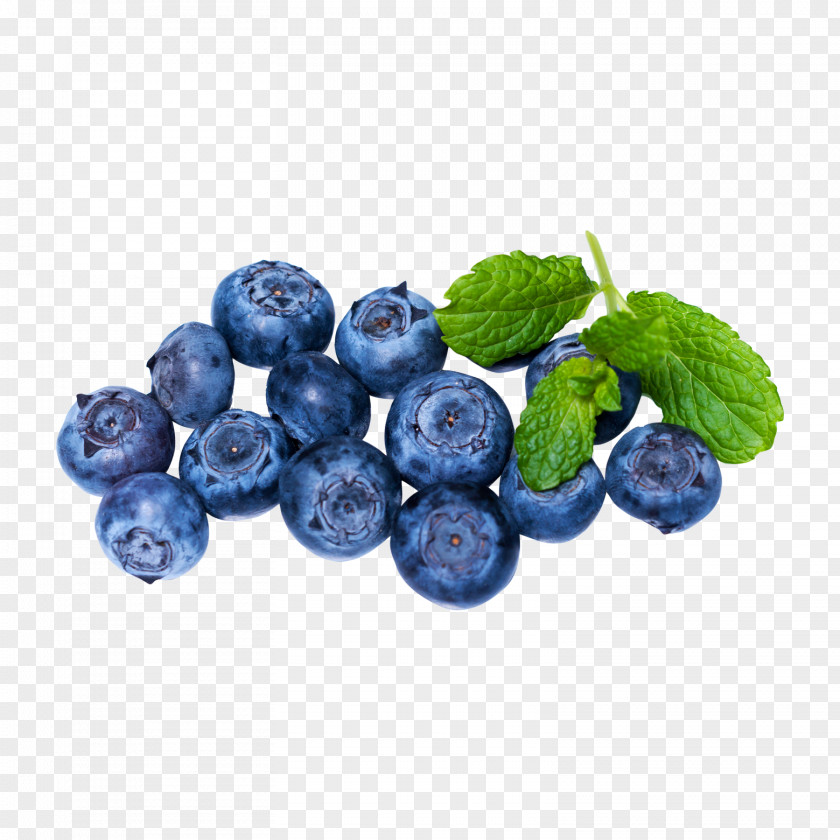 Blueberry American Muffins Pie Berries PNG