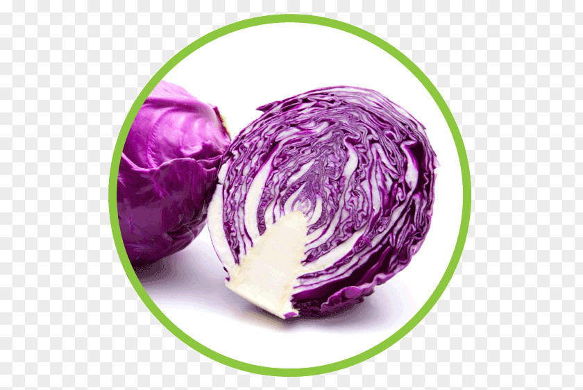 Cauliflower Red Cabbage Capitata Group Brussels Sprout Chou PNG
