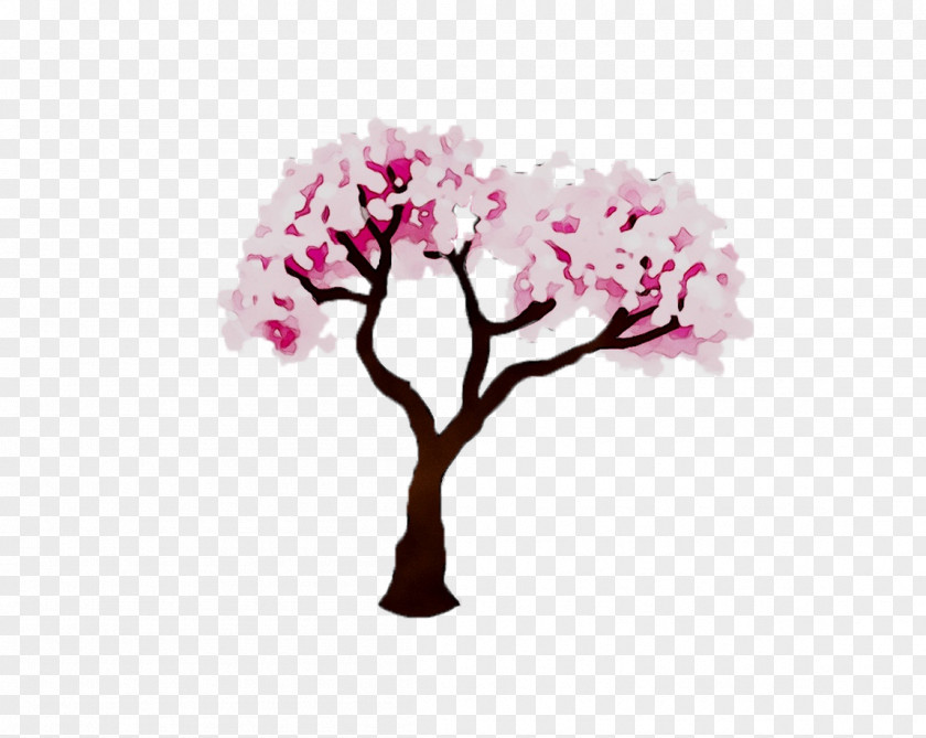 Cherry Blossom Cut Flowers Floral Design ST.AU.150 MIN.V.UNC.NR AD PNG
