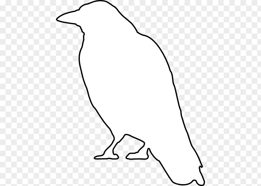 Crow Common Raven Clip Art PNG