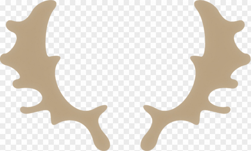 Horn PNG