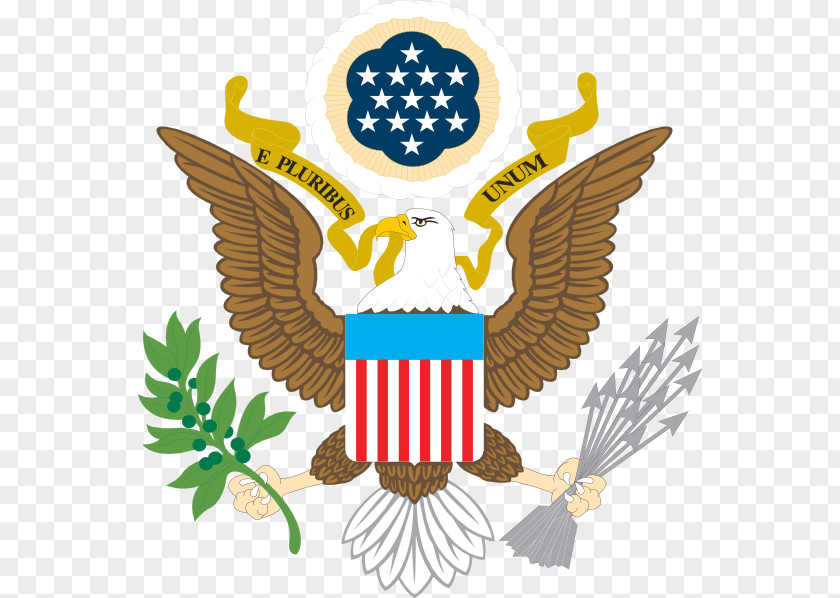 Lucas Biglia Tattoos United States Of America Bald Eagle Symbol Clip Art Image PNG