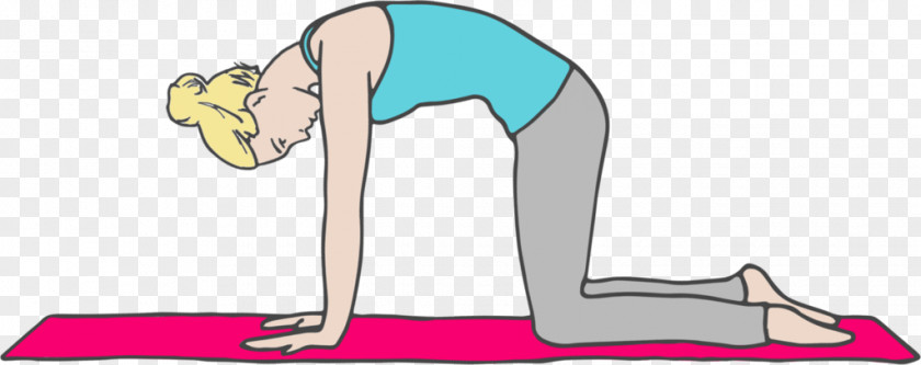 Cats Stretching Marjariasana Yoga & Pilates Mats Hip Common Admission Test (CAT) · 2018 PNG