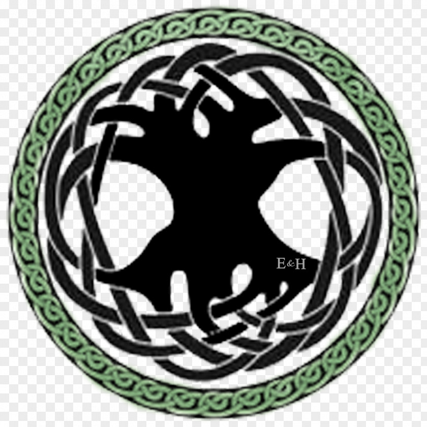 Celtic Tree Of Life Celts Art Knot PNG