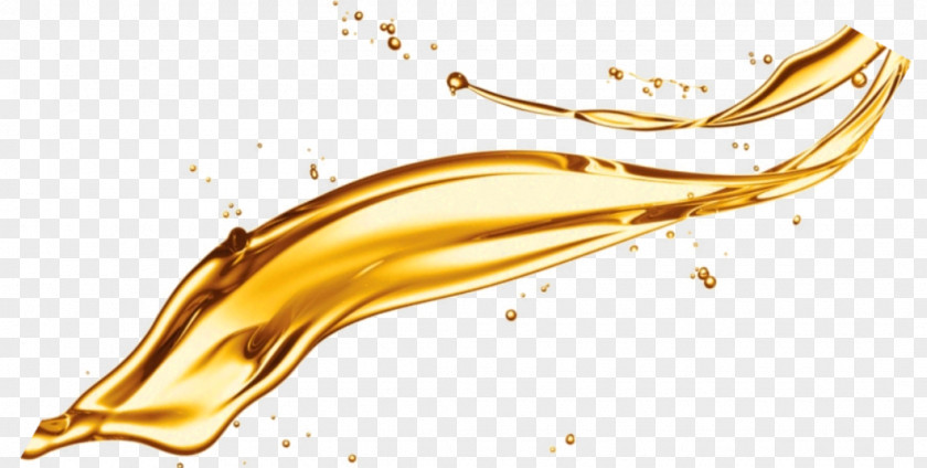 Design Soybean Oil Organism PNG