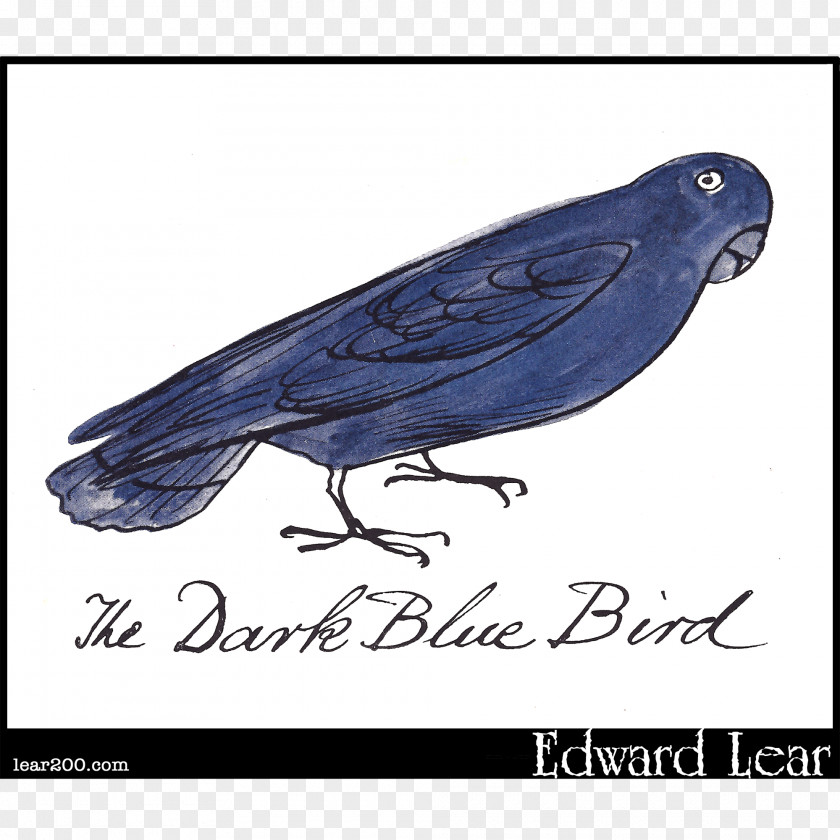 Feather Beak Cobalt Blue PNG