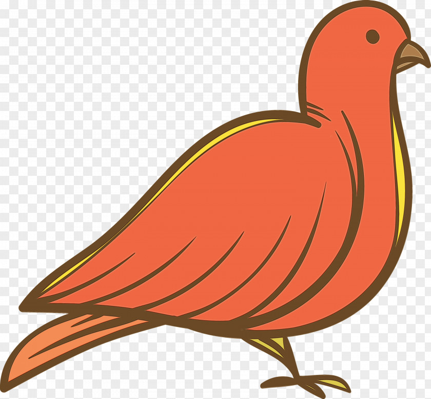 Feather PNG