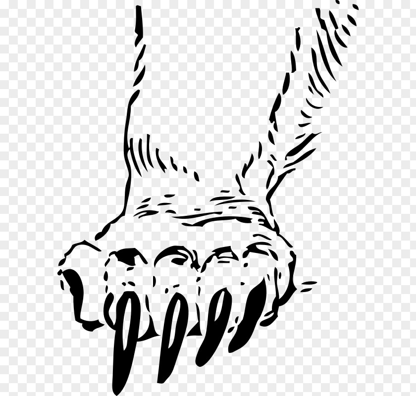 Bear Grizzly Paw Claw Clip Art PNG