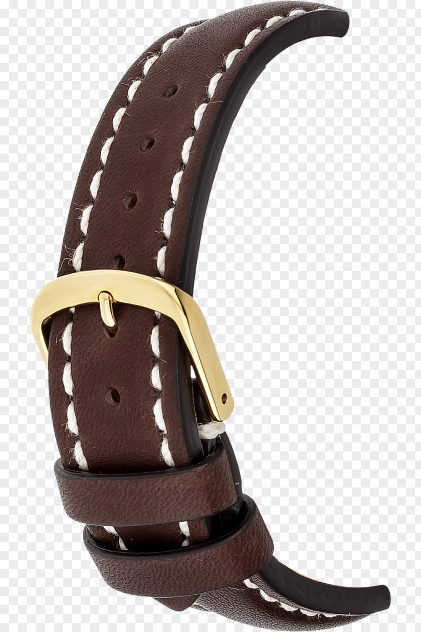 Belt Watch Strap Buckles PNG