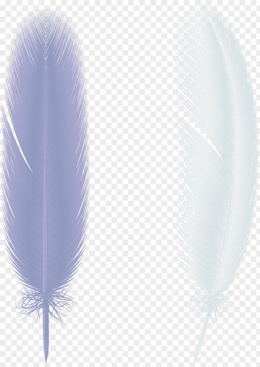 Creative Paper Butterfly Wings,feather Feather Bird Wing PNG