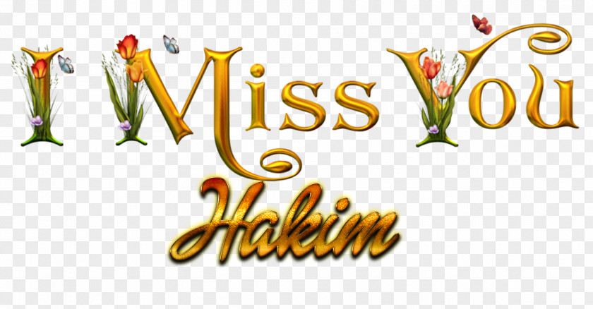 Hakim Background Image Desktop Wallpaper Name Logo PNG