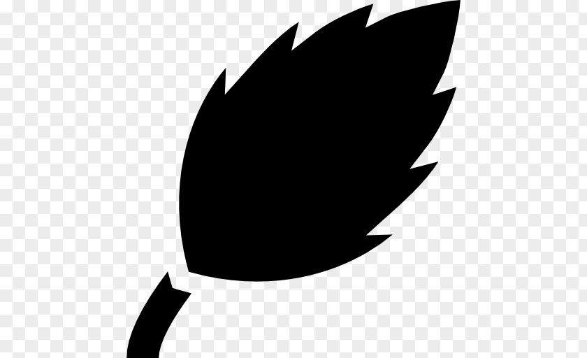 Leaf Symbol Shape PNG