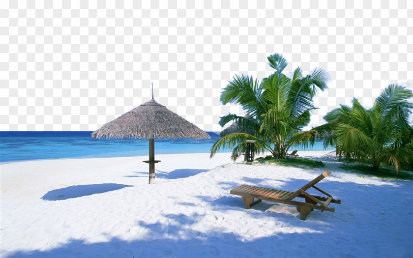 Resting On The Beach Negombo Vista Sol Paradise Island Vaadhoo PNG