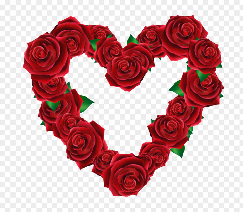 Roses Heart Beach Rose Euclidean Vector PNG