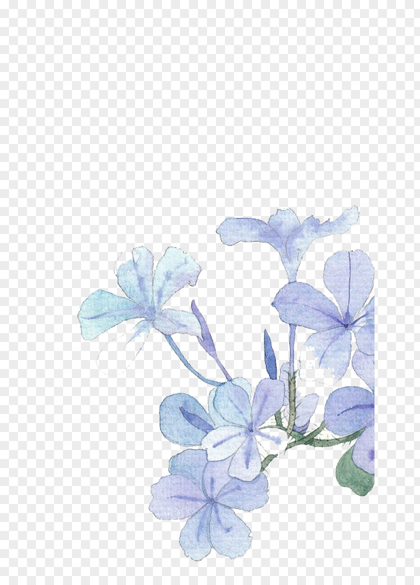 Watercolor Flowers Blue Painting Flower PNG