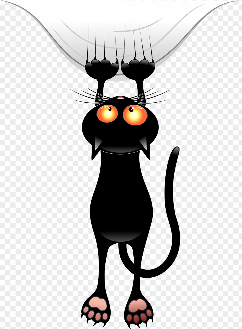 Witch Cat PNG cat clipart PNG