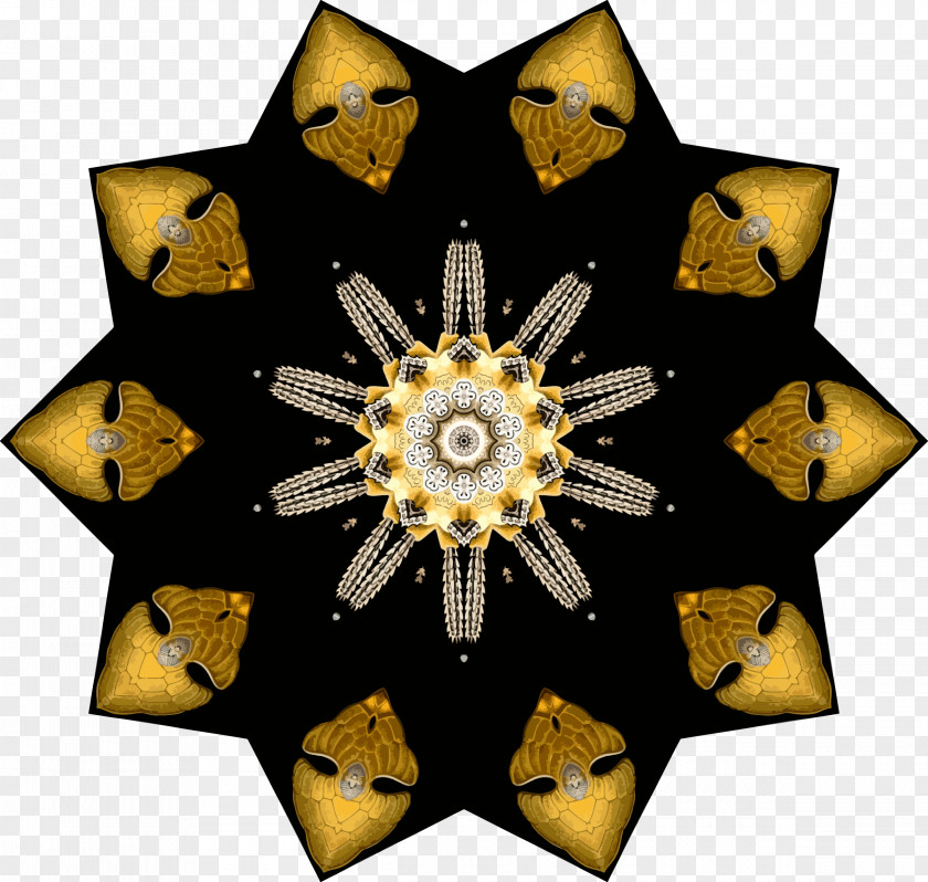 9 Symmetry Pattern PNG