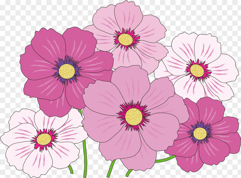 Flowers Flower Color Clip Art PNG