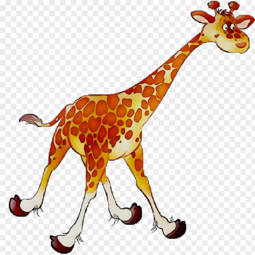 Giraffe Fauna Carnivores Pattern Terrestrial Animal PNG
