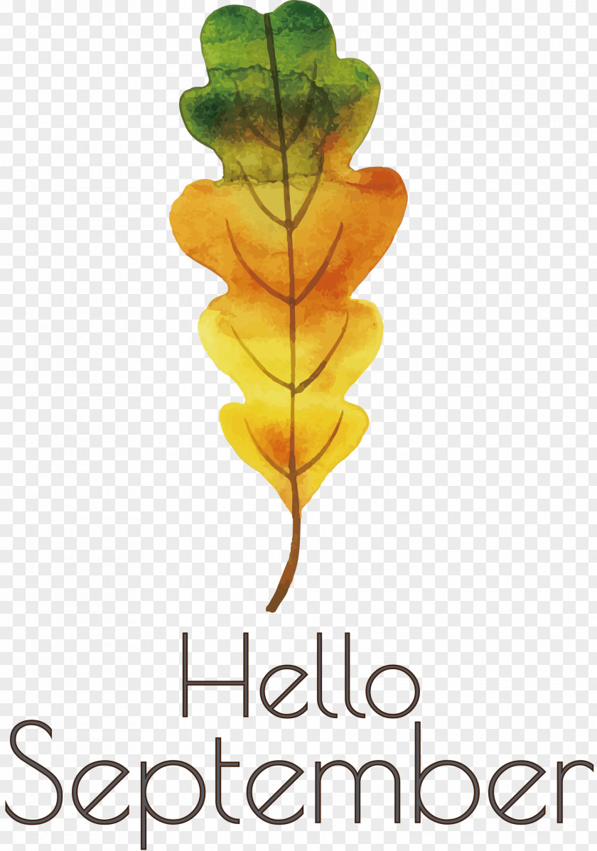 Hello September September PNG