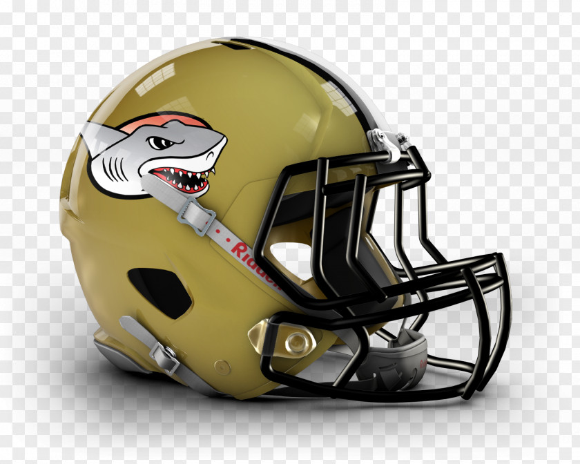 NFL Providence Steam Roller Frankford Yellow Jackets BAFA National Leagues American Football PNG