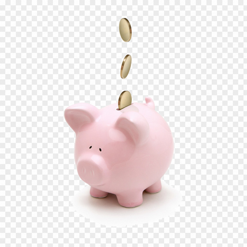 Pink Pig Piggy Bank Saving Money Coin Finance PNG