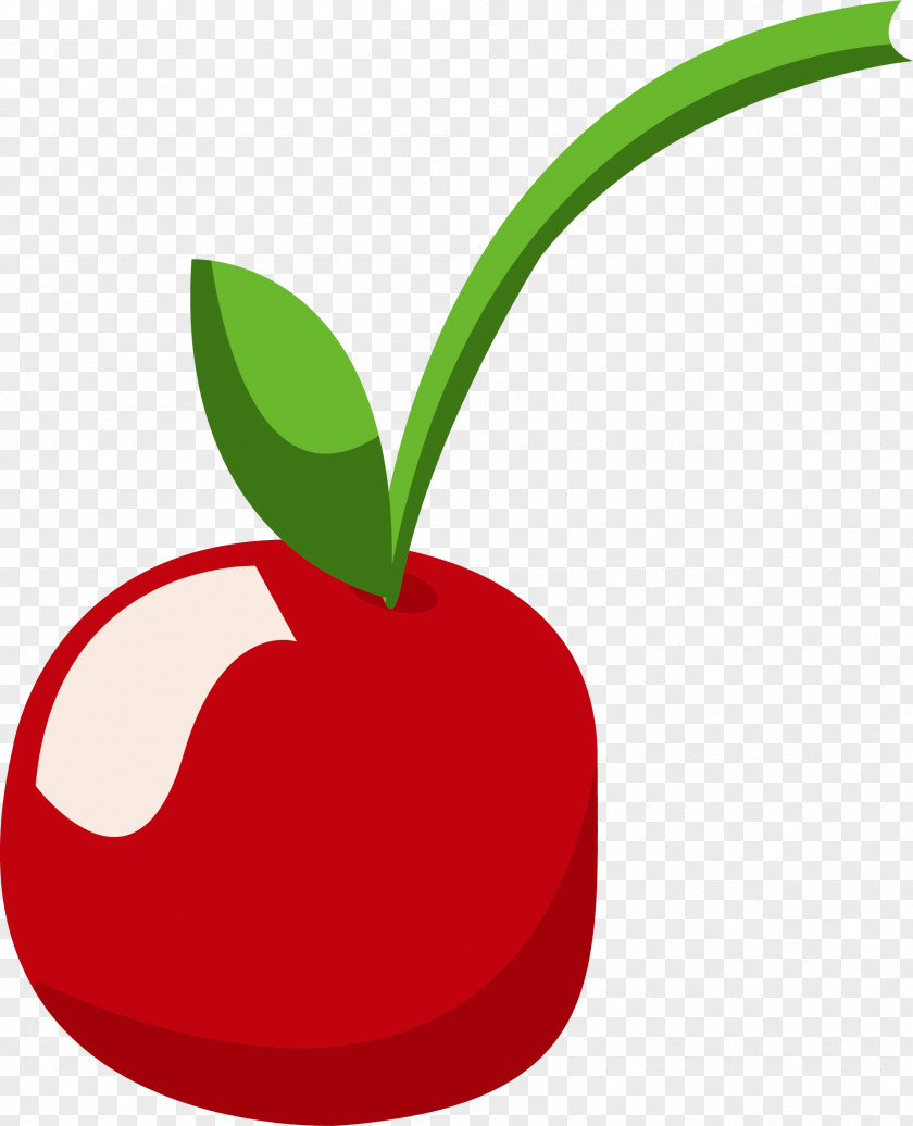 Little Fresh Red Cherry Auglis PNG