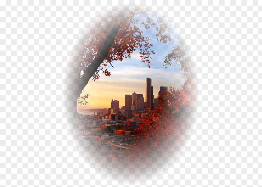 Paisajes Seattle Autumn Art KGNW PNG