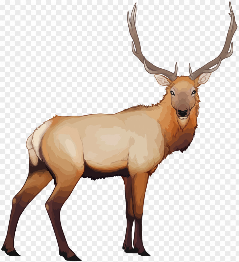 Vector Cartoon Deer Reindeer Elk PNG