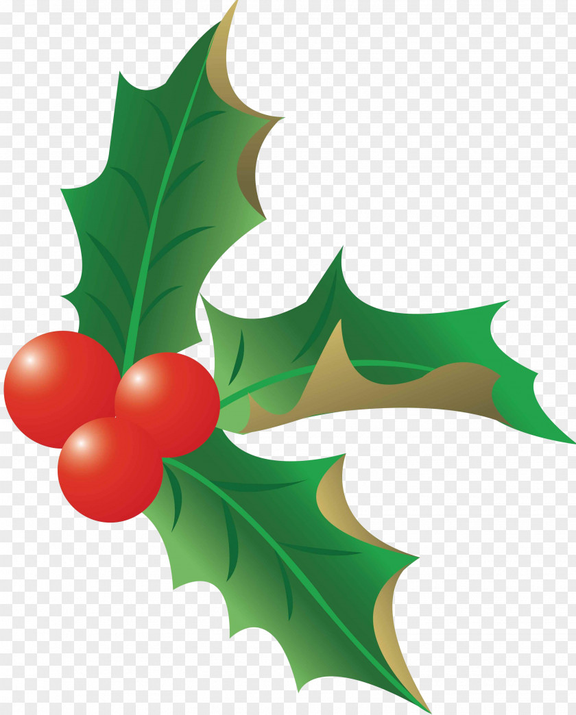 Christmas Fruit Clip Art PNG