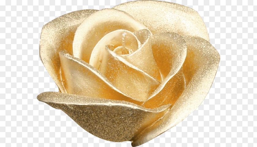 Flower Gold PNG