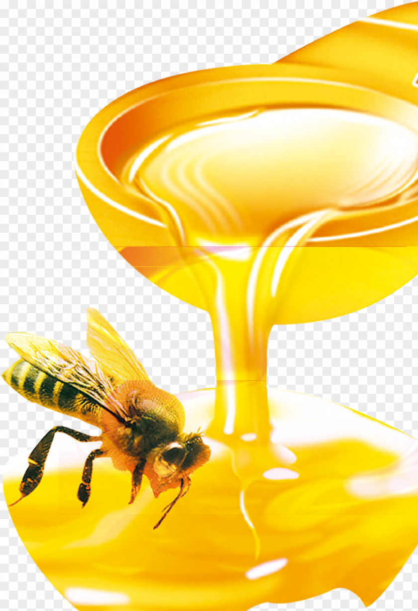 Honey,bee Honey Bee Organic Food Beehive PNG