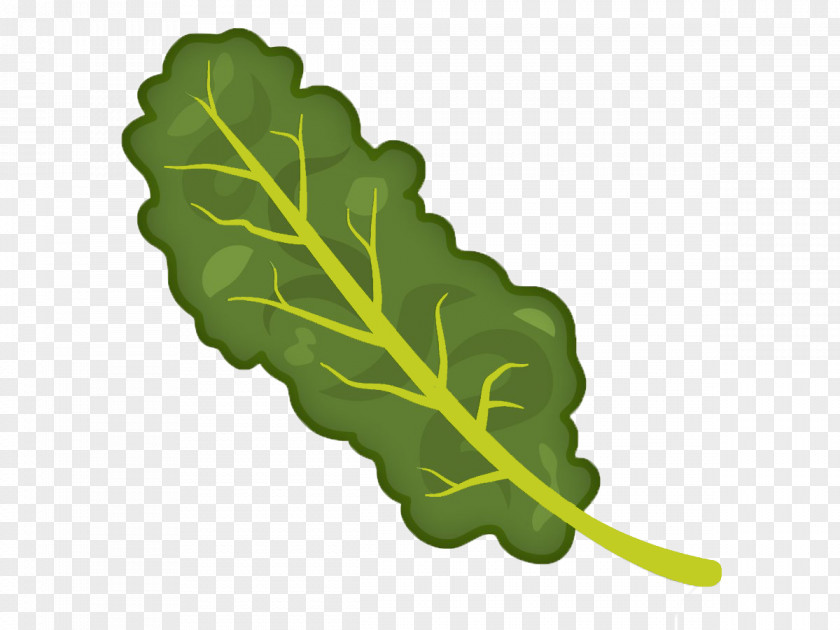 Kale Spring Greens Emoji Emoticon Collard Clip Art PNG