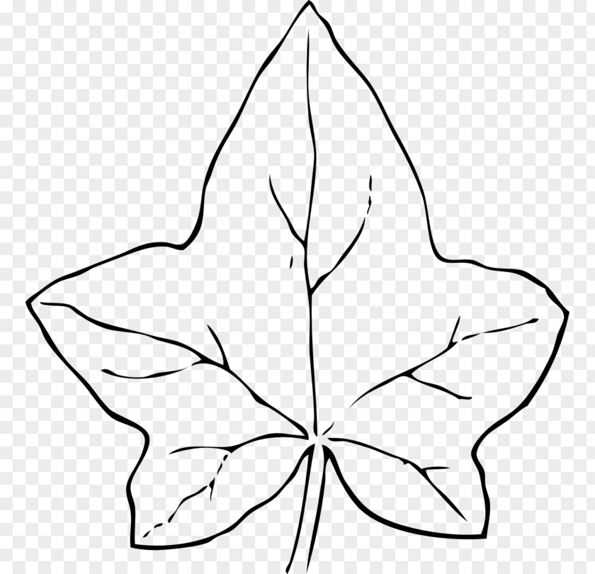 Leaf Clip Art PNG