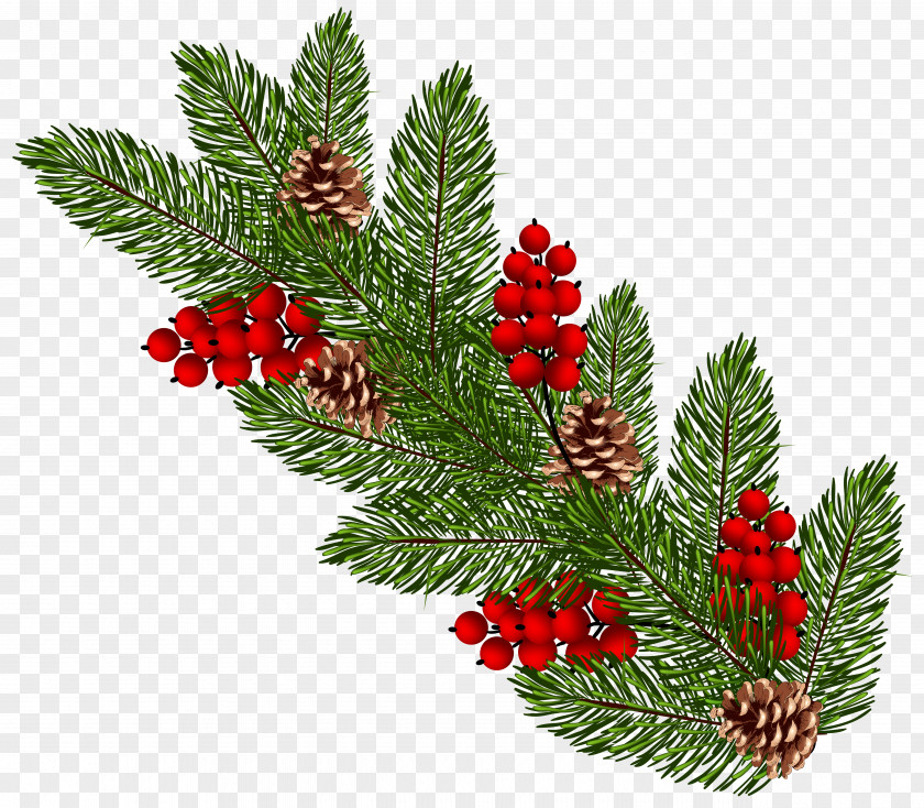 Pine Boughs Christmas Ornament Conifer Cone Clip Art PNG