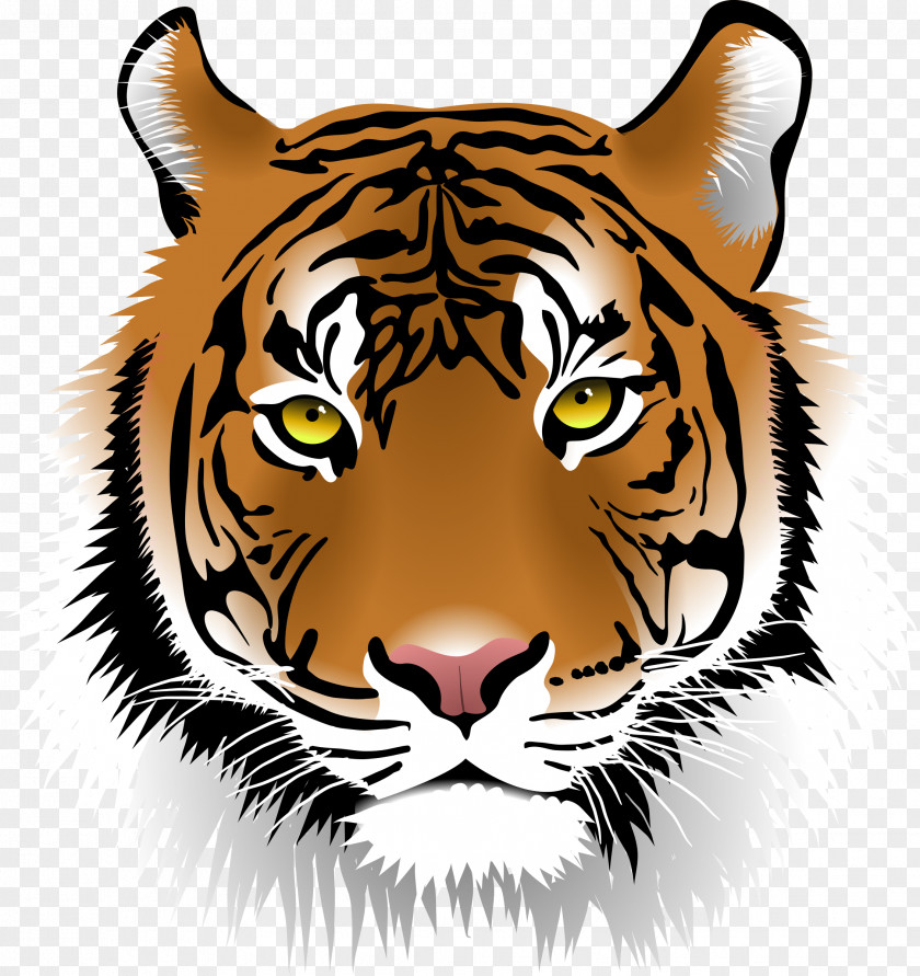 Tiger Face Sriracha Zoo Bengal Clip Art PNG