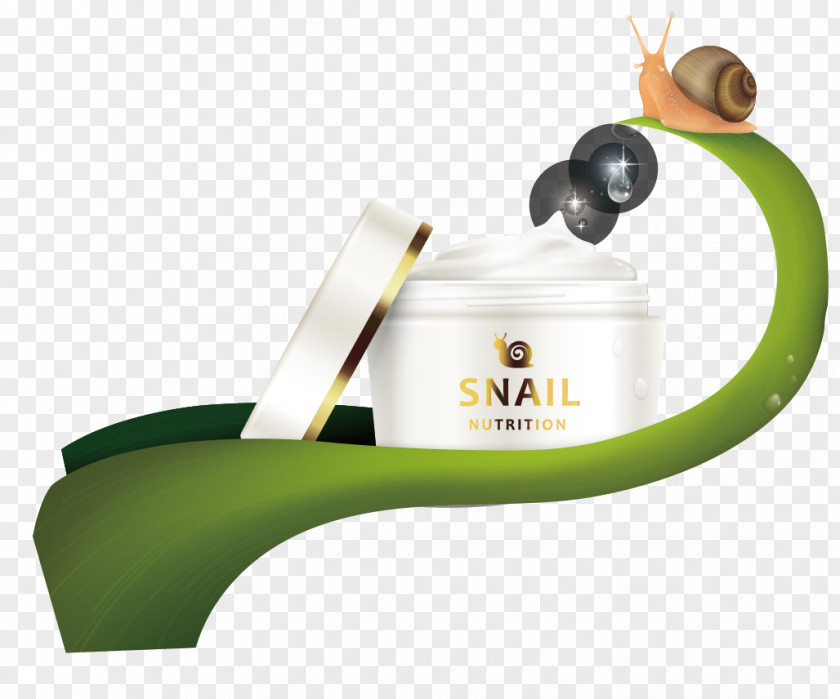 Vector Snail Skin Care Products Posters Euclidean PNG