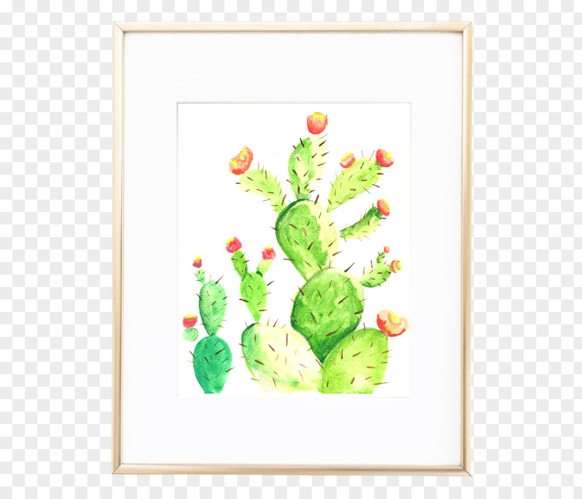 Watercolor Cactus Cactaceae Printing Picture Frames Painting Review PNG